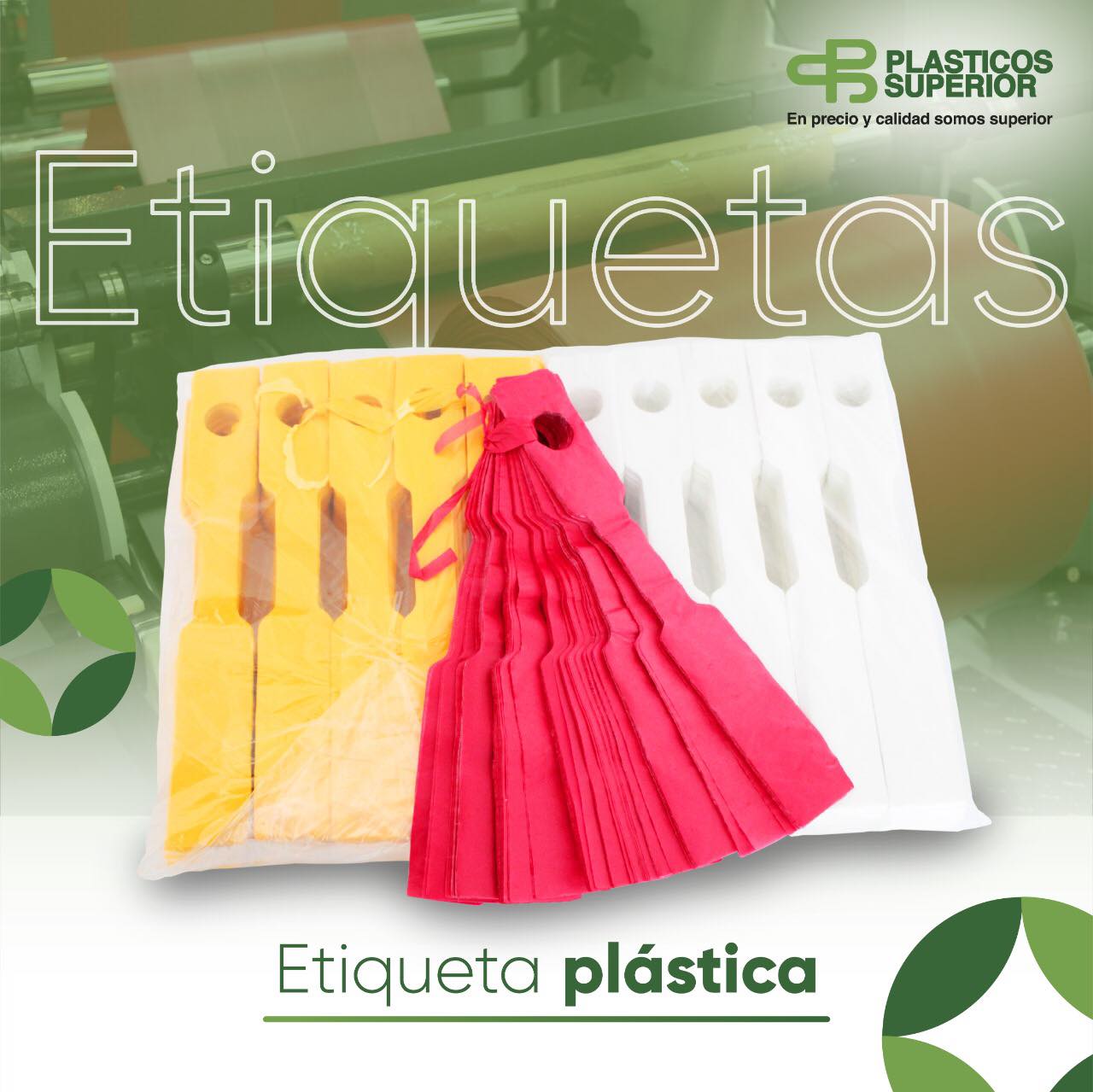 129463224_723044708315423_1295938459218462133_n