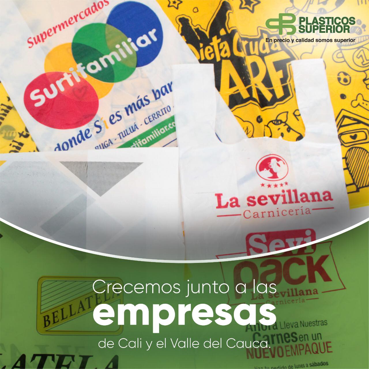 129816763_377790320120105_1919840189117449802_n