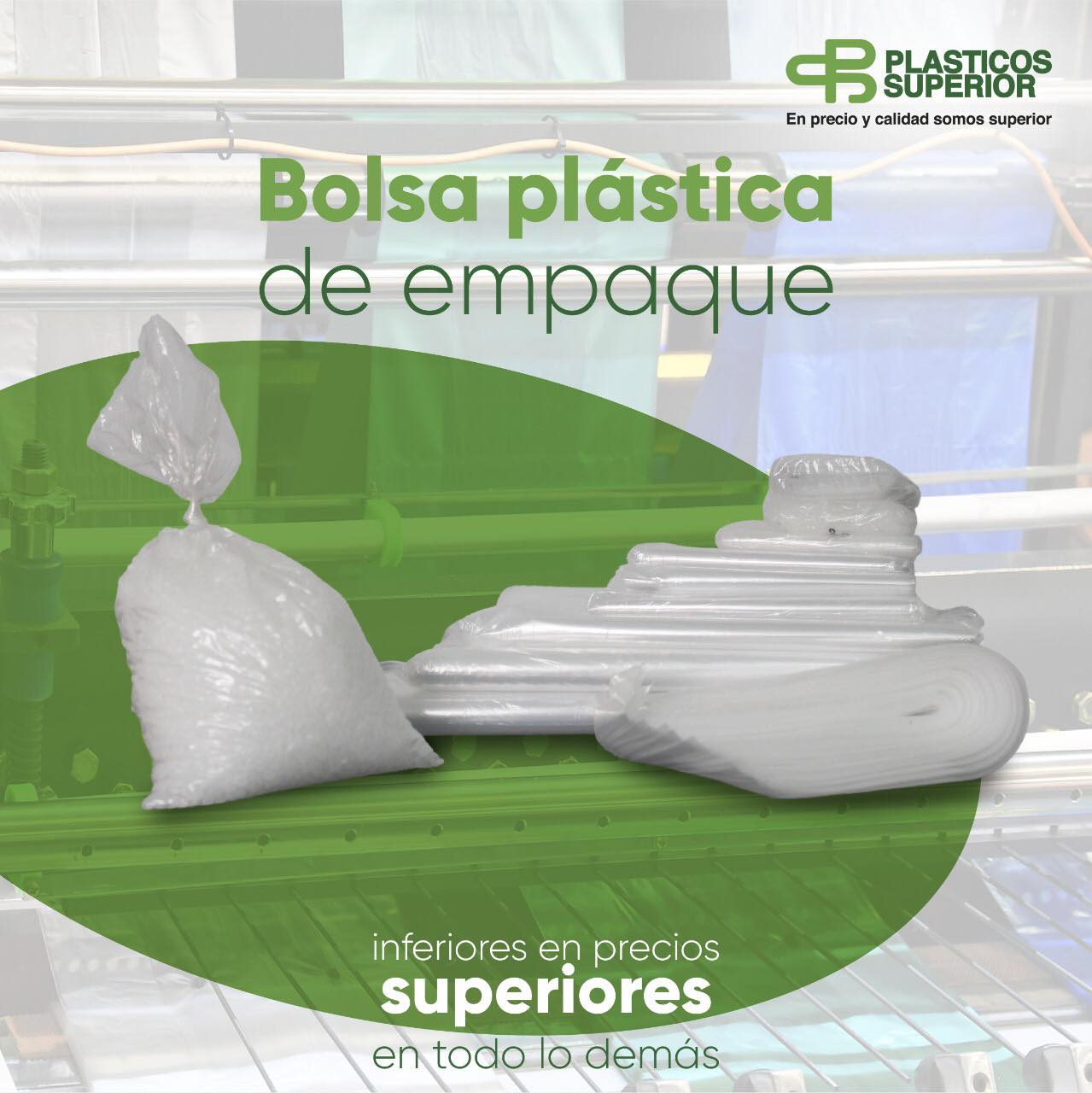 130039989_3506412112776488_761665056146035990_n